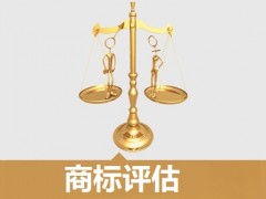 商標(biāo)的價(jià)值評估，新手賣家必看